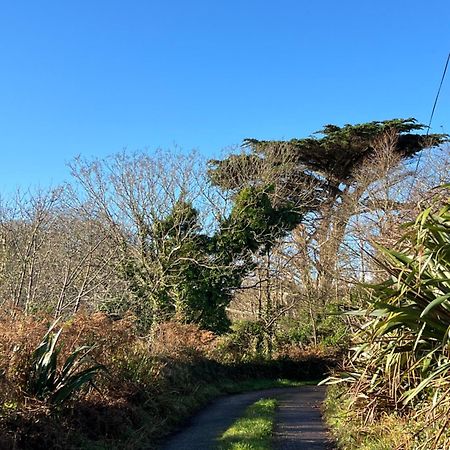 Ancaire Cottage Kilbronogue. Schull Exteriör bild