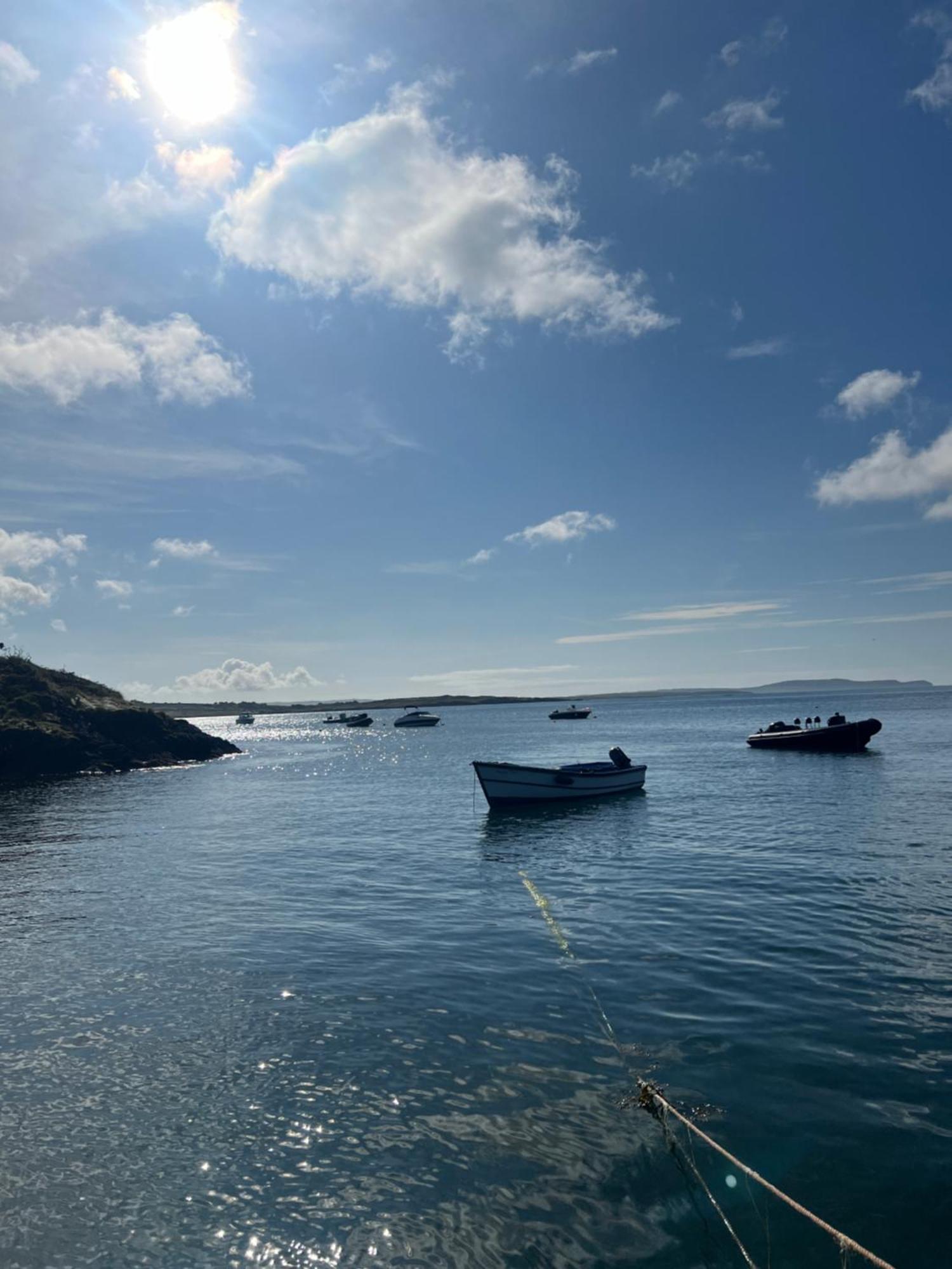 Ancaire Cottage Kilbronogue. Schull Exteriör bild